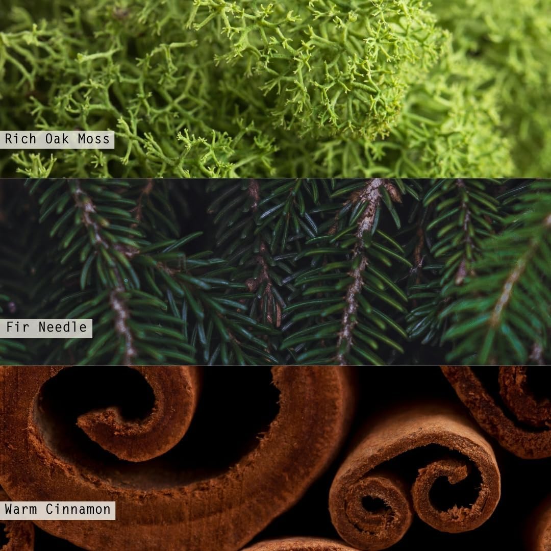 ILLUME Vanity Tin Candle, Balsam & Cedar